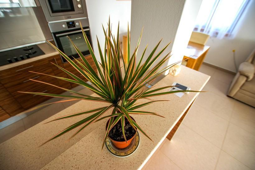 Apartment Andjela Starigrad Paklenica Luaran gambar